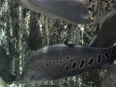 -多彩贵州城极地海洋世界