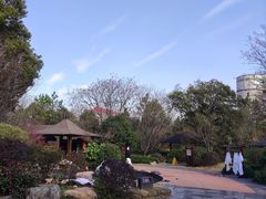 -航空小镇温泉