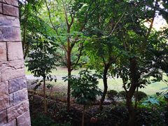 -西双版纳融创皇冠假日度假酒店