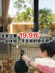 -前小桔亲子创意农场·草莓采摘·露营烧烤