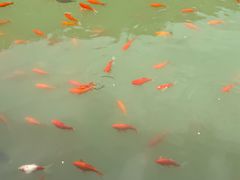 -桑干河大峡谷旅游区