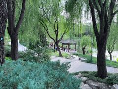 -北坞公园