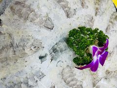 -官塘陈记鱼生·潮汕砂锅粥·牛肉火锅(潮枫路总店)