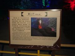 -北京上方山国家森林公园