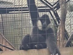 -海南热带野生动植物园