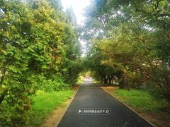 -国家植物园南园