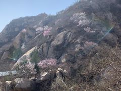 -北京凤凰岭