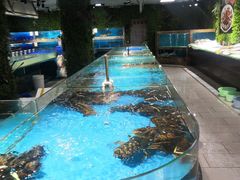 -宝燕海鲜(好爱店)