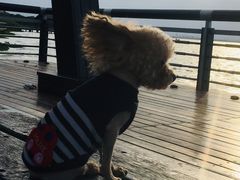 -阳澄湖半岛旅游度假区