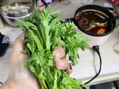 茼蒿-九品锅火锅烧烤食材超市(南沙路店)