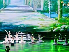 -小荧星艺校(浦东中环分校)