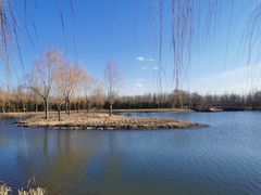 -东郊湿地公园