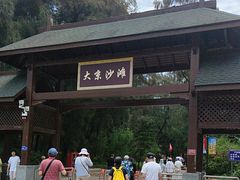 -大京沙滩