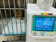 -康爱犬猫诊所·牙专科·骨外科·影像内科(丰宁店)