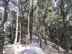 -火炉山森林公园