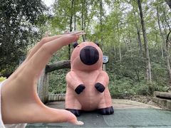 -石燕湖生态旅游景区