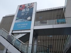 -盒马X会员店(王府井奥莱UP TOWN店)