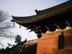 -善化寺