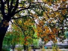 -元大都城垣遗址公园