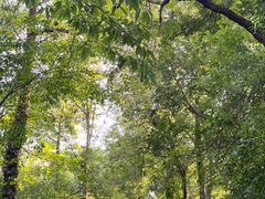 -敬亭山风景名胜区