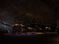 -世界恐龙谷景区