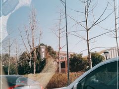 -迪士尼小镇