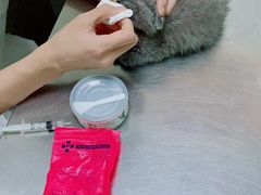 -特一安24小时宠物医院·骨科·中兽医