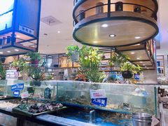 -亚马逊蒸汽活海鲜自助(LCM置汇旭辉广场店)