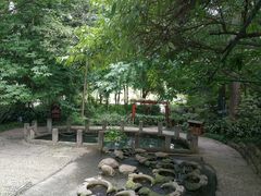 -成都市活水公园