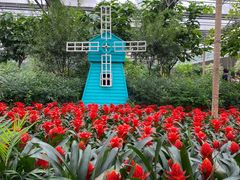 -南宫五洲植物乐园