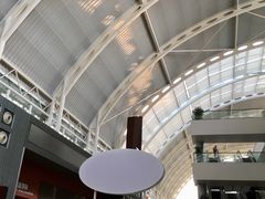-上海市第一人民医院(松江南部)
