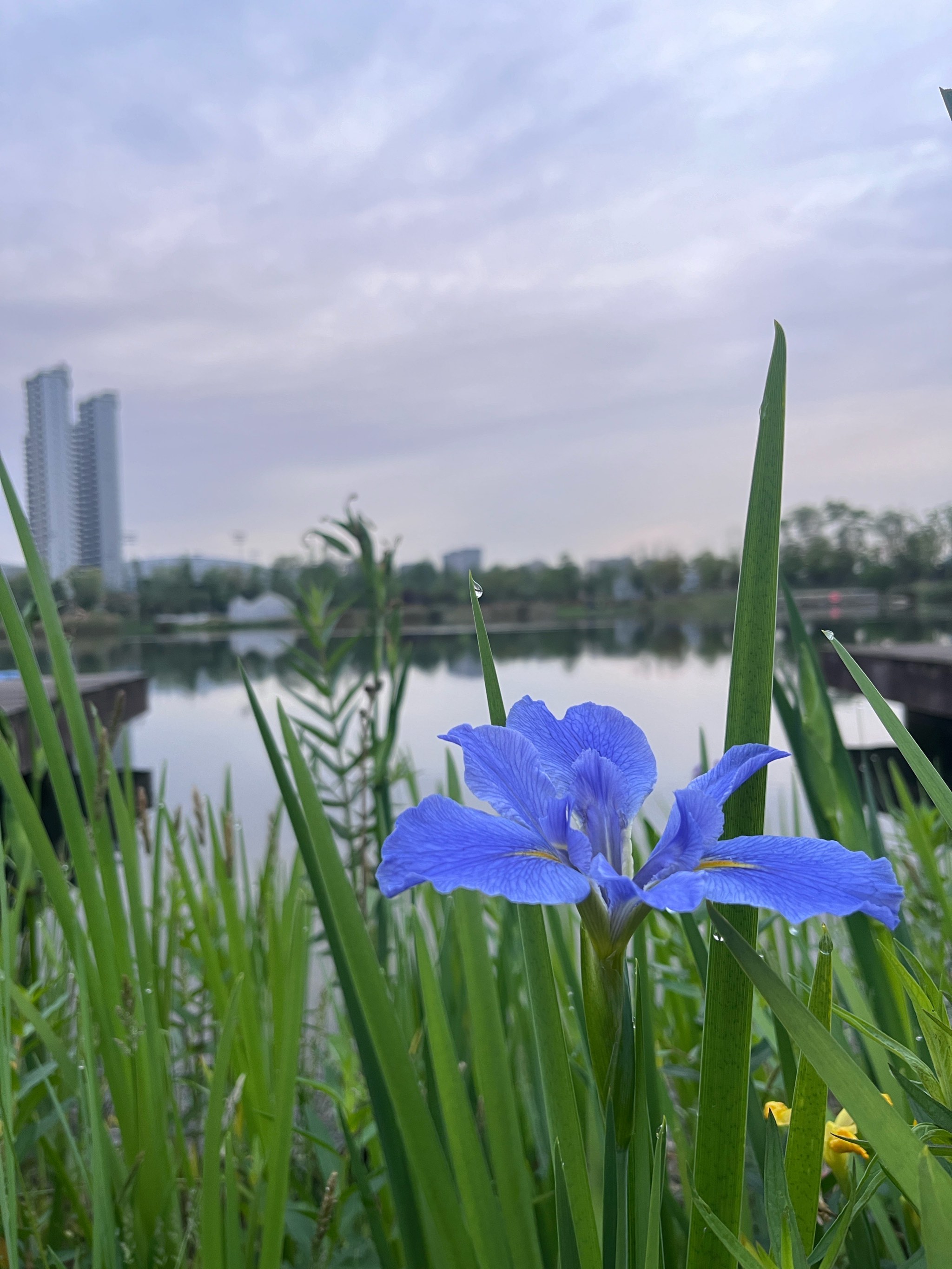 初春清晨图片图片