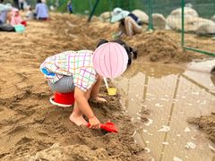 -大兴滨河森林公园