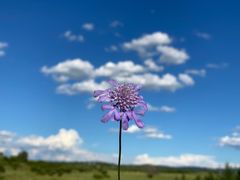 -塞罕坝国家级自然保护区