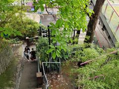 -喧闹·东方大气茶(鹅岭二厂店)