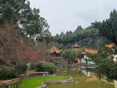 -富乐山
