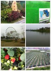 景点-云湖游乐园