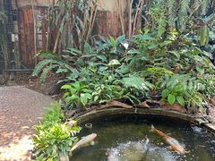 -Fern Forest Cafe