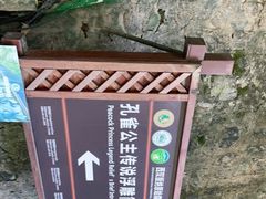 -西双版纳原始森林公园