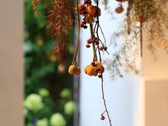 -自由生长植物工作室(深港花卉中心店)