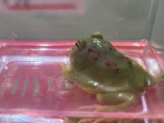 -鹏欣水游城