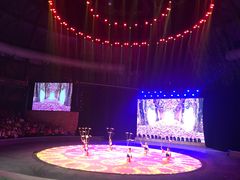 -兴芮温泉度假区