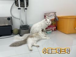 -熙.Hair 丨专注女子中长发丨