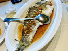 金酱蒸功夫鱼-万龙洲海鲜(广渠门店)