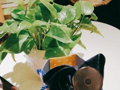 -宝燕壹号(长寿店)