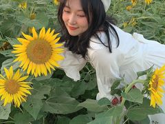 -瑶湖郊野森林公园
