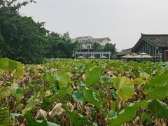 -莫催咖啡