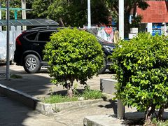 -Again Coffee Roaster(香蜜湖店)