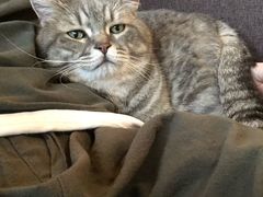 -天使咖啡(兴新街店)