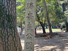 -奈良公园